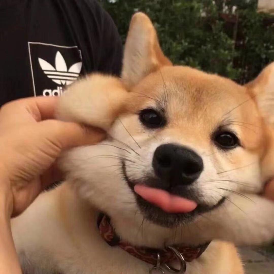 水桶：
