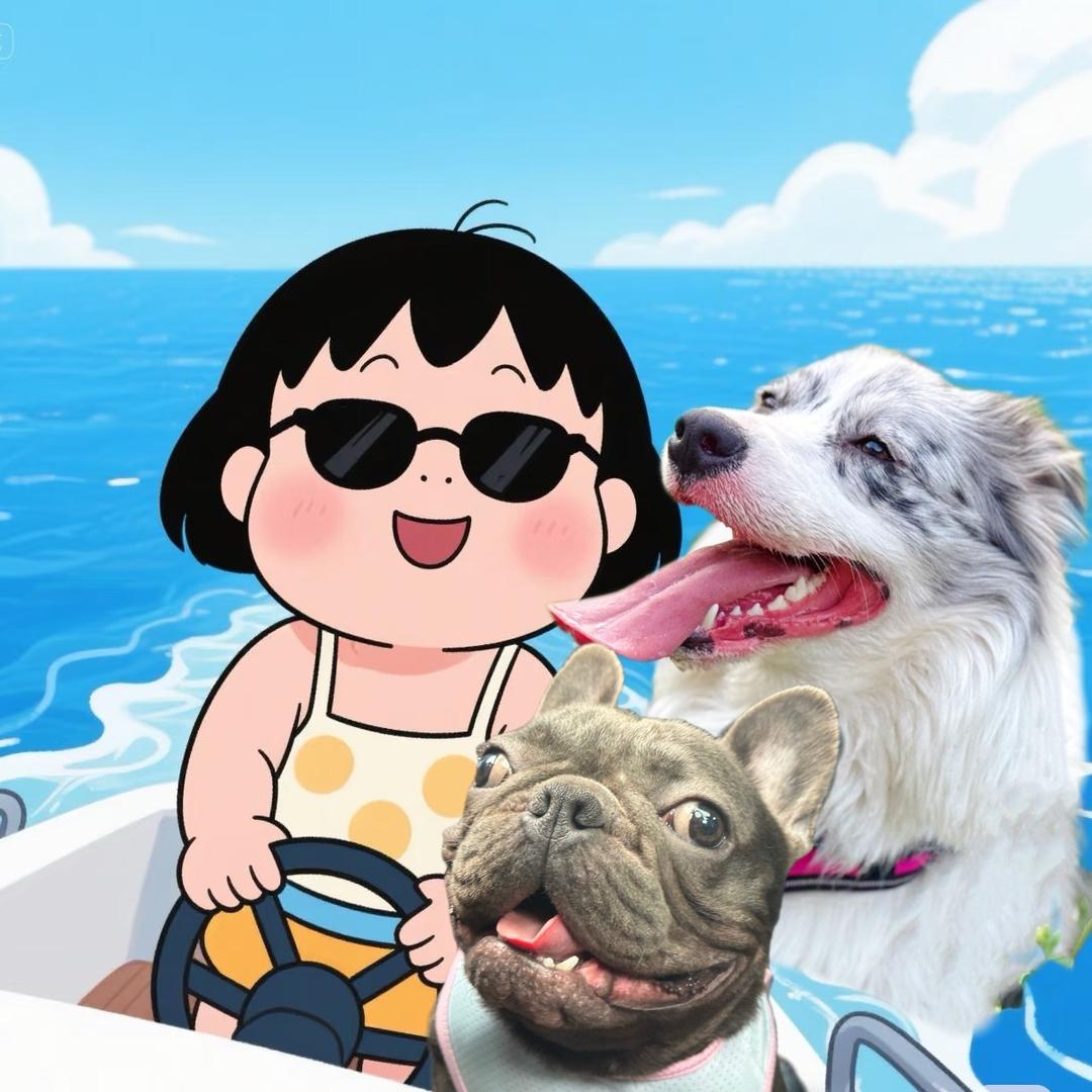 🌈法斗图图和边牧大顺