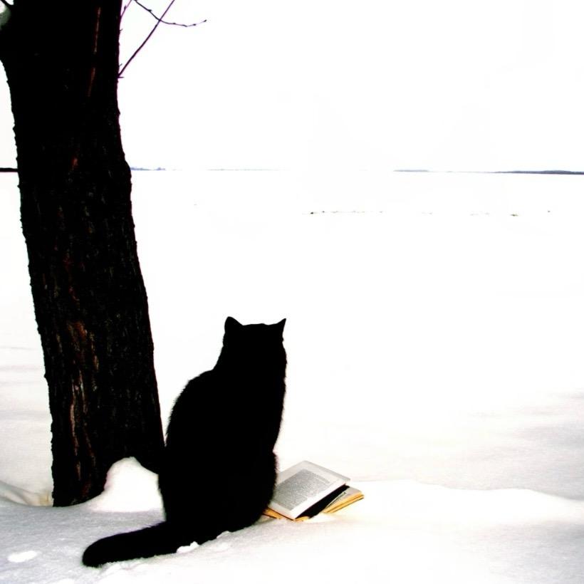 🍰你个小笨蛋🌈