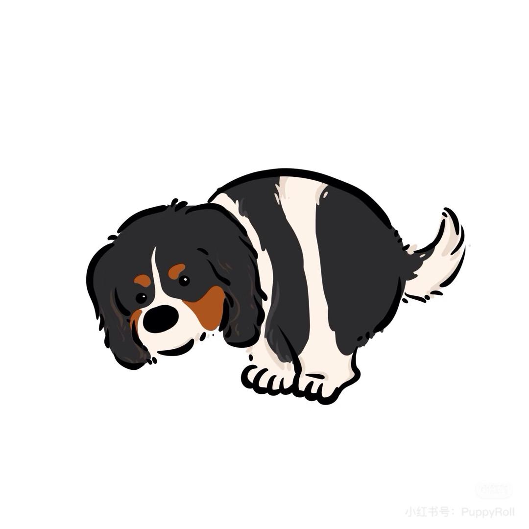 小黑狗