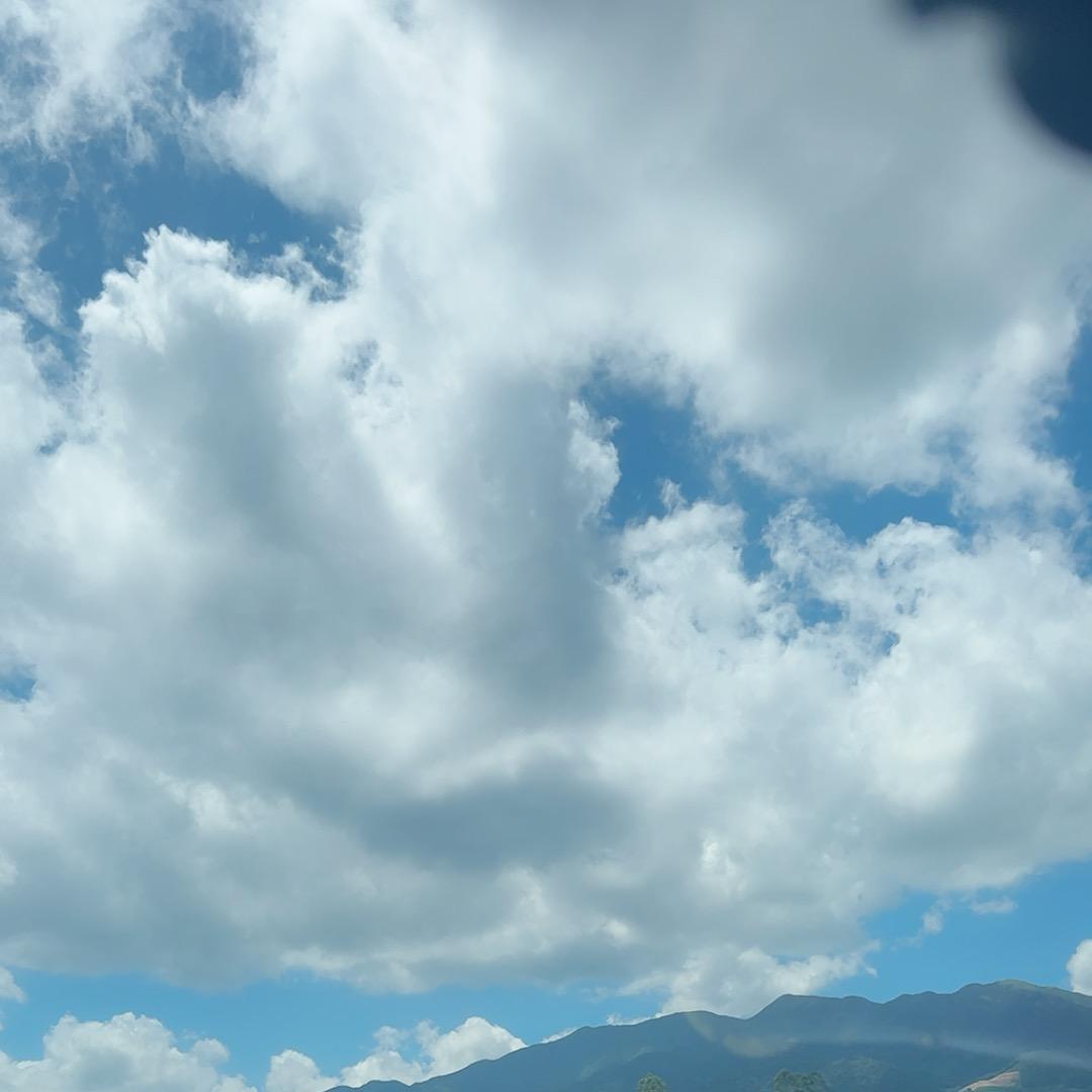 嗯哼