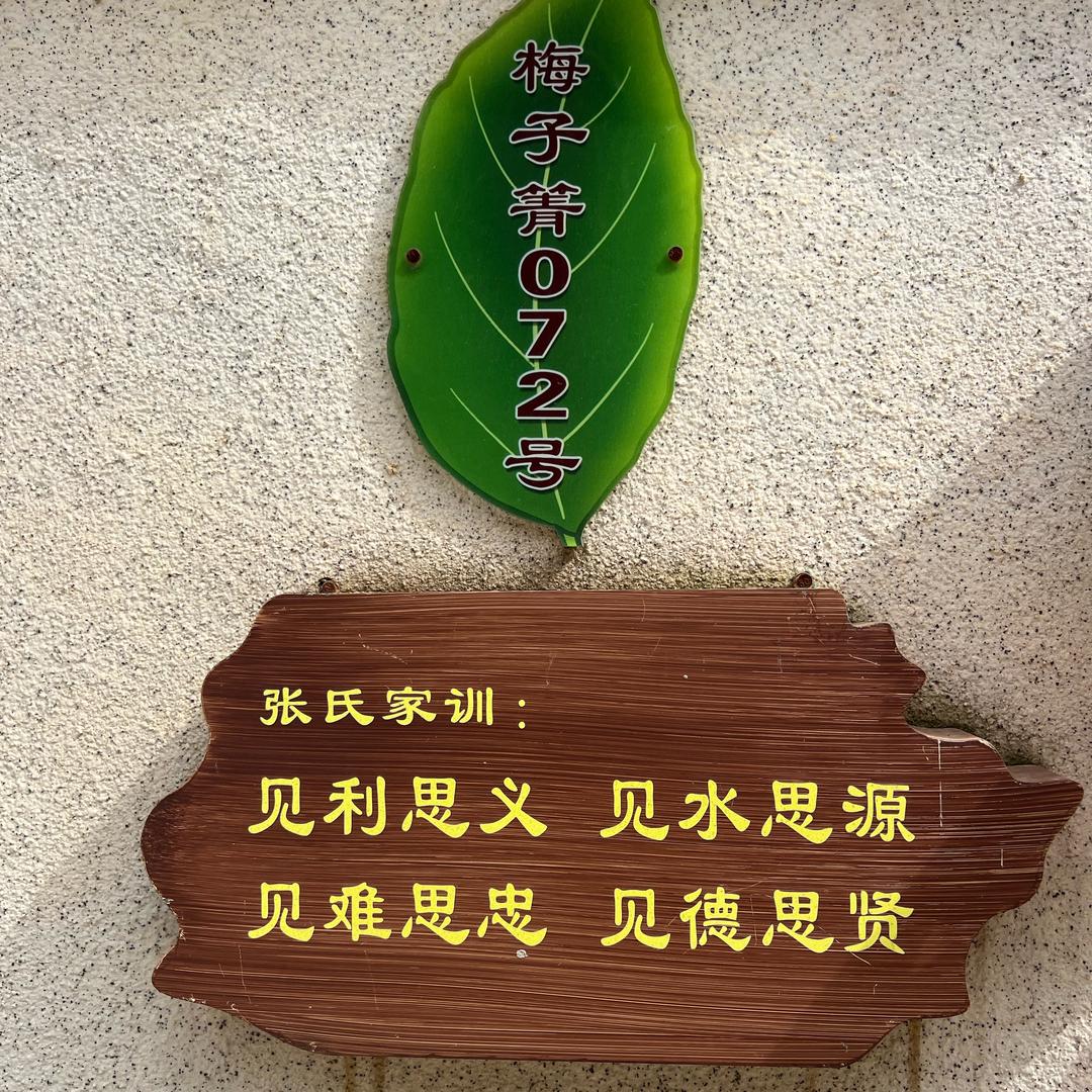 梅子箐柱子家的茶（梅子箐72号）