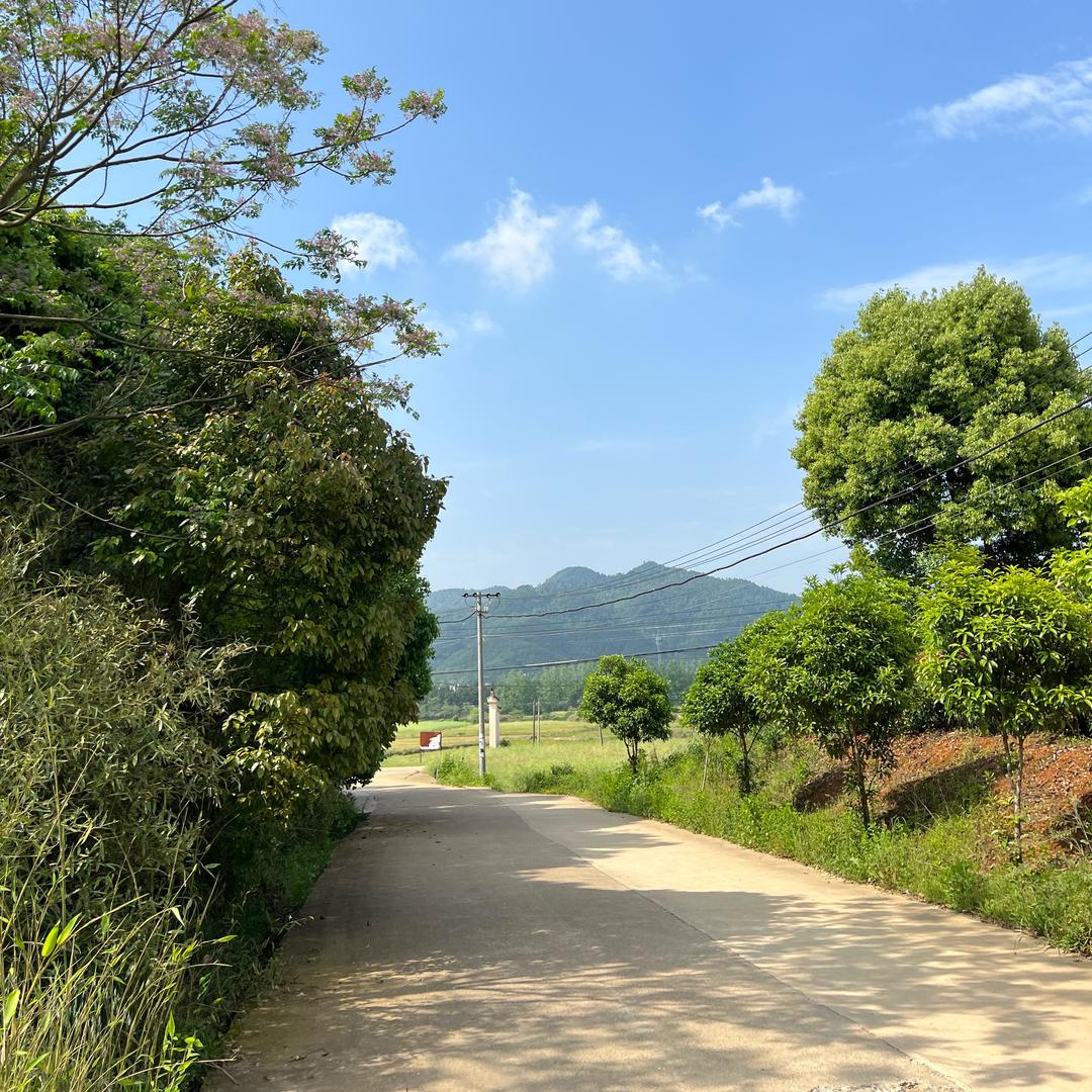 江西小洪妹土特产店