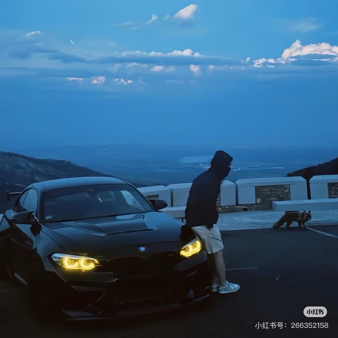 卖🚗的 颜值一般