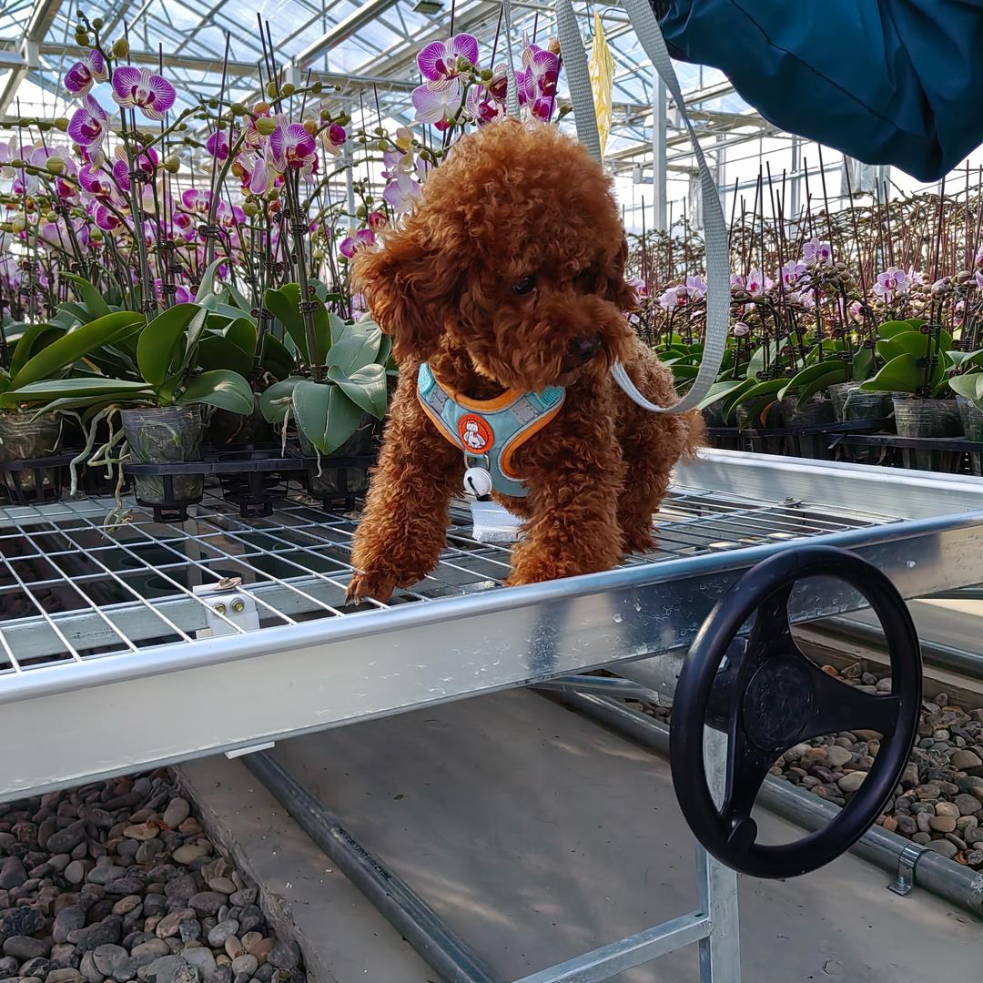 人生苦短，好好珍惜