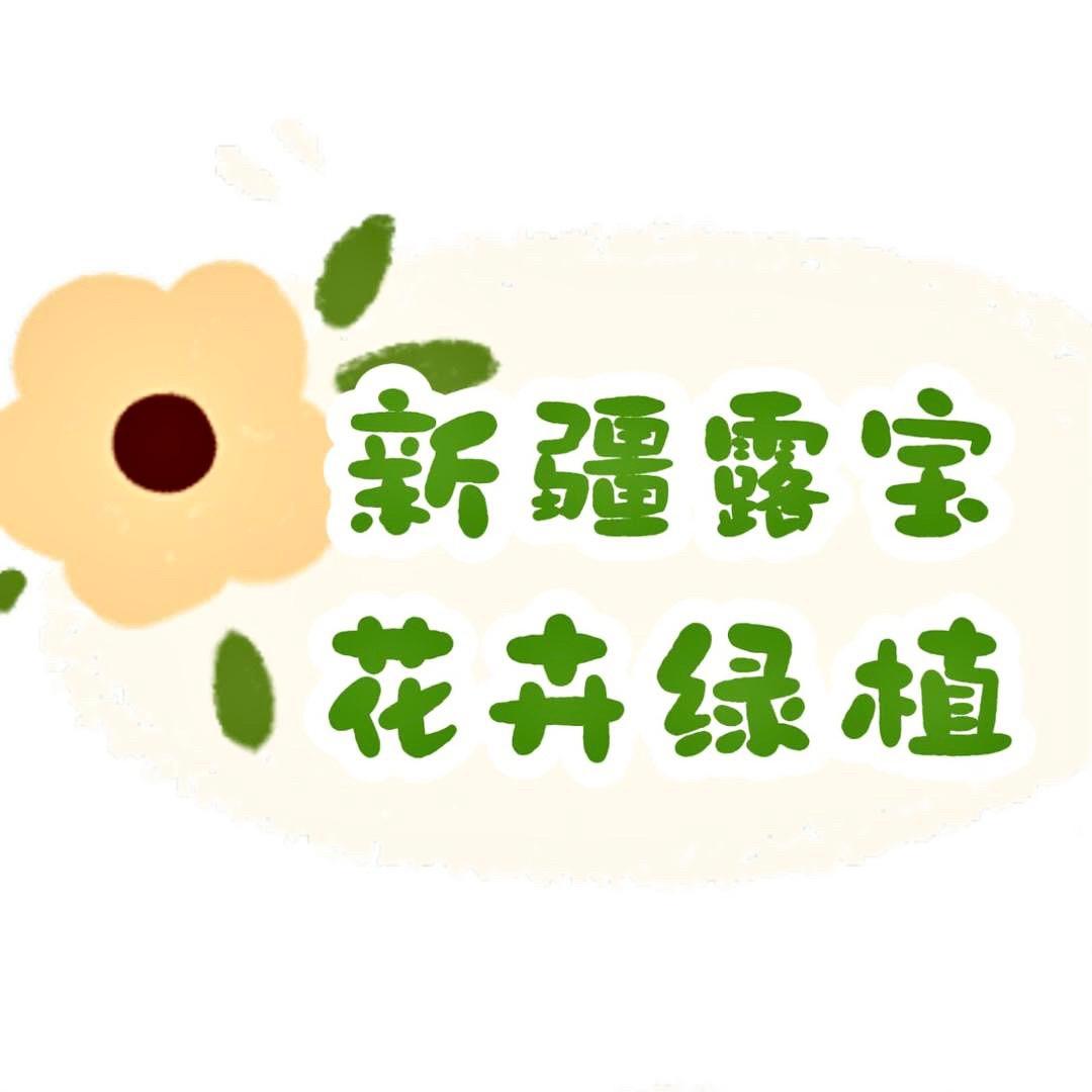 新疆花卉绿植仓