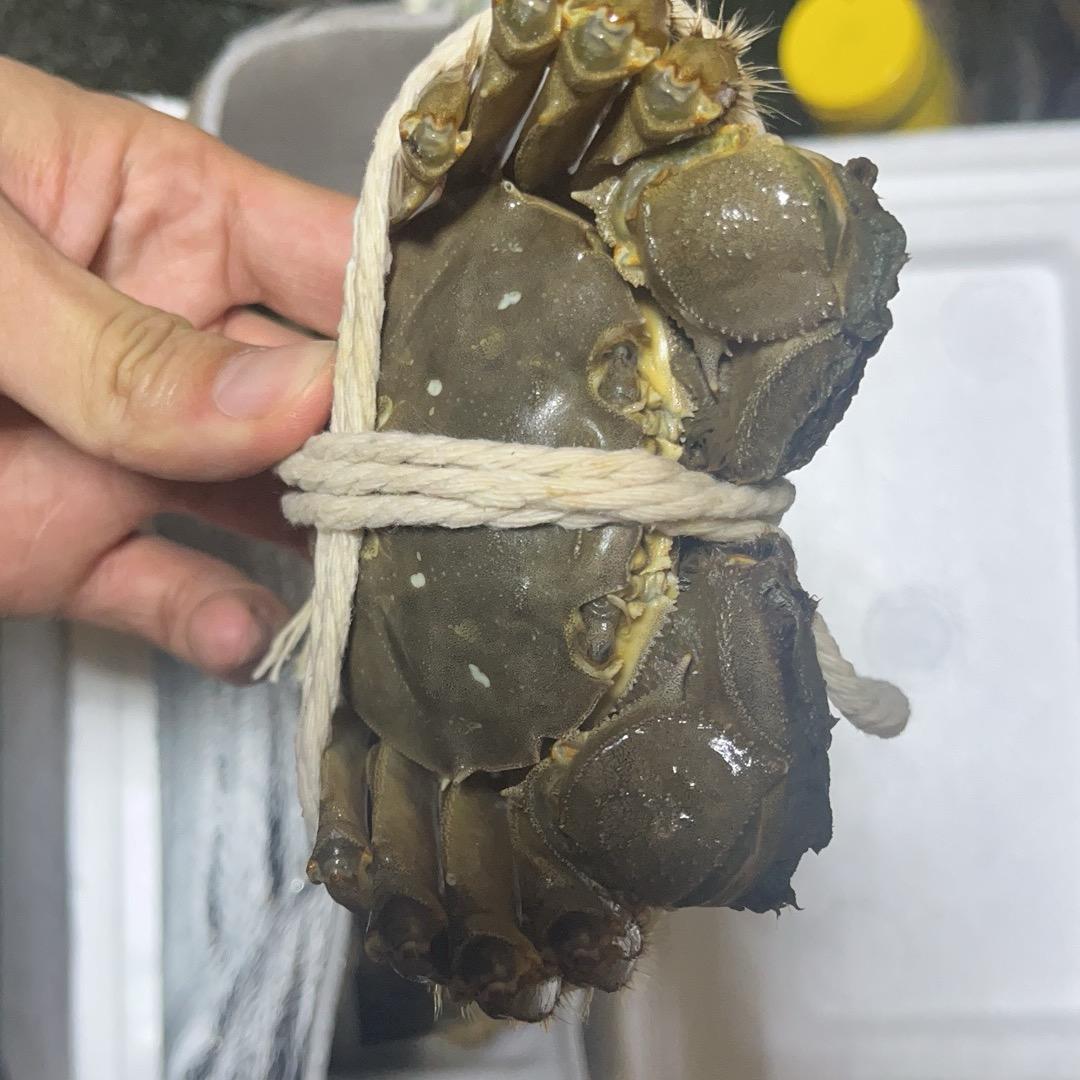 My老马