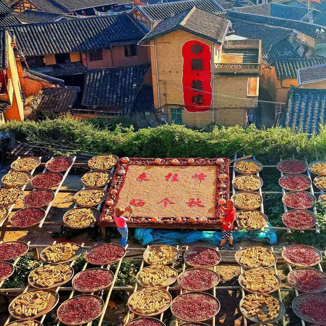 好物甄选💗❄️