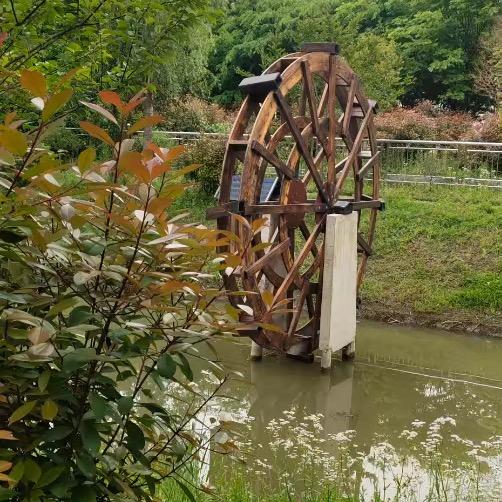 新疆驼奶粉工厂店