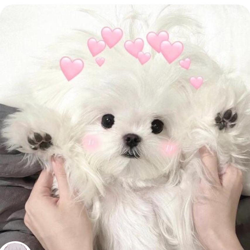 Cc.🍬