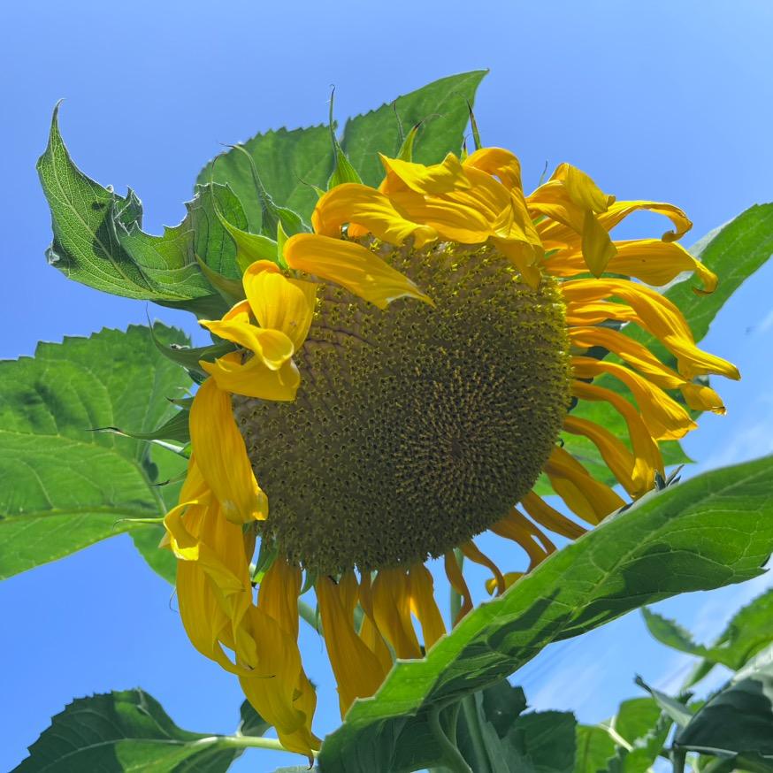 一个上1休6的摊主