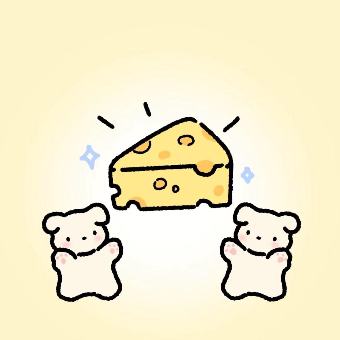 是知识不是芝士🧀