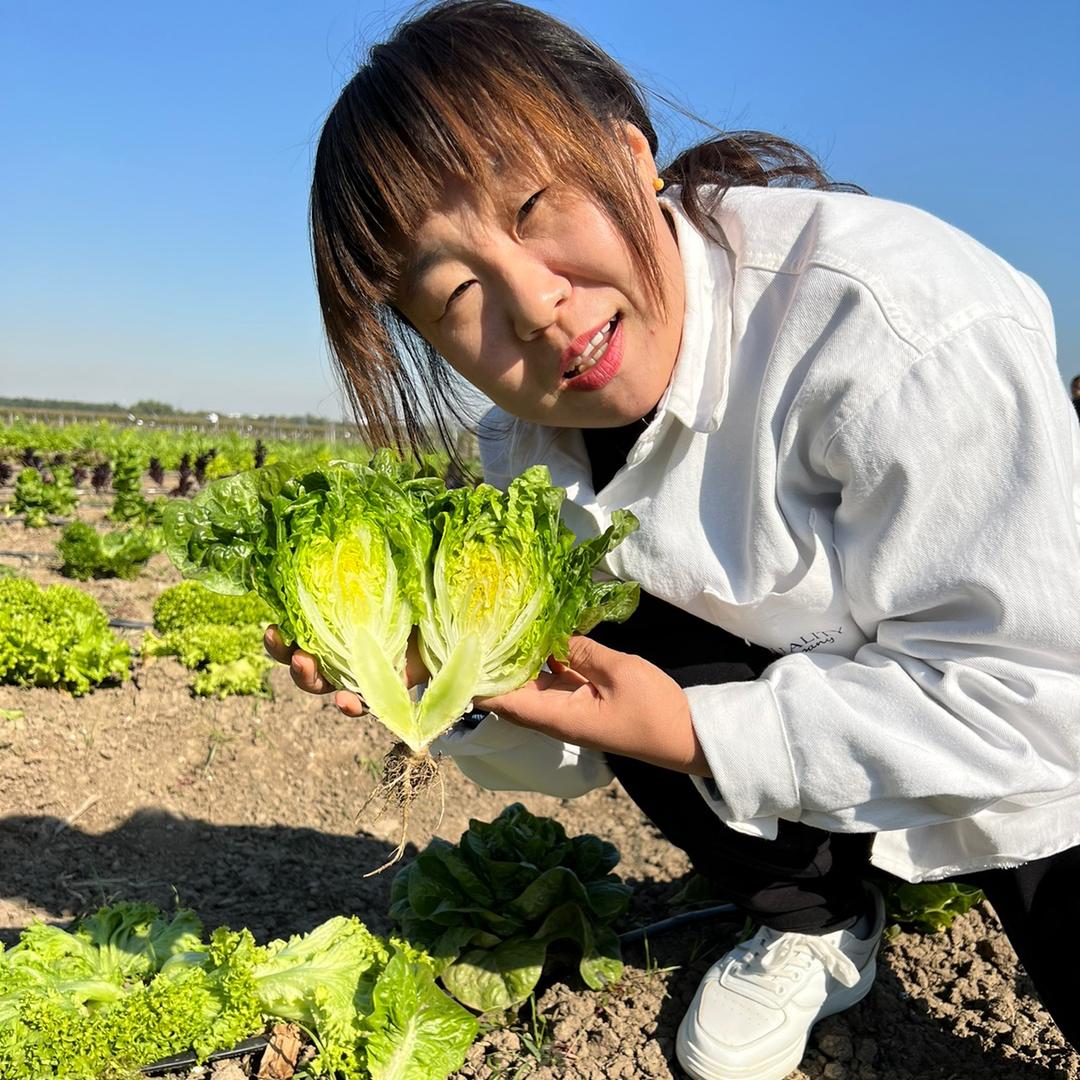 丽姐菜籽