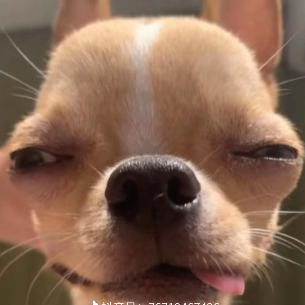 涵