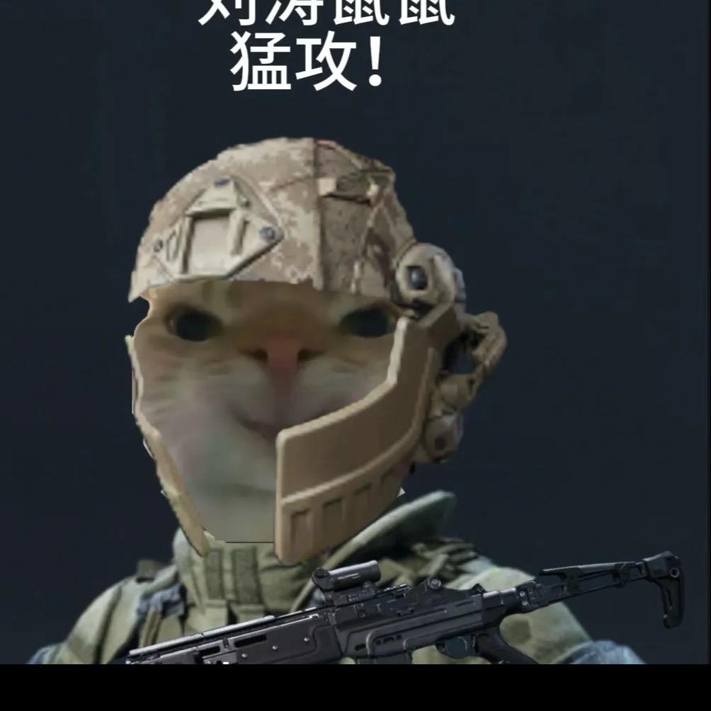 椰椰（三角洲行动）