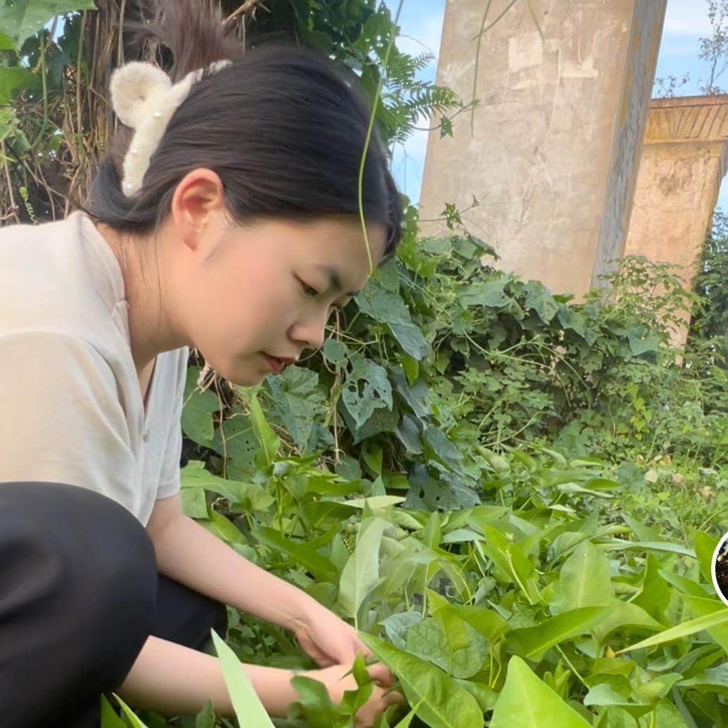 湾头的小妮子