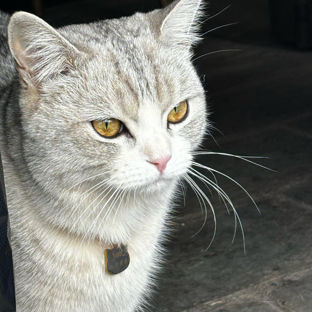 睡醒再说😗😗