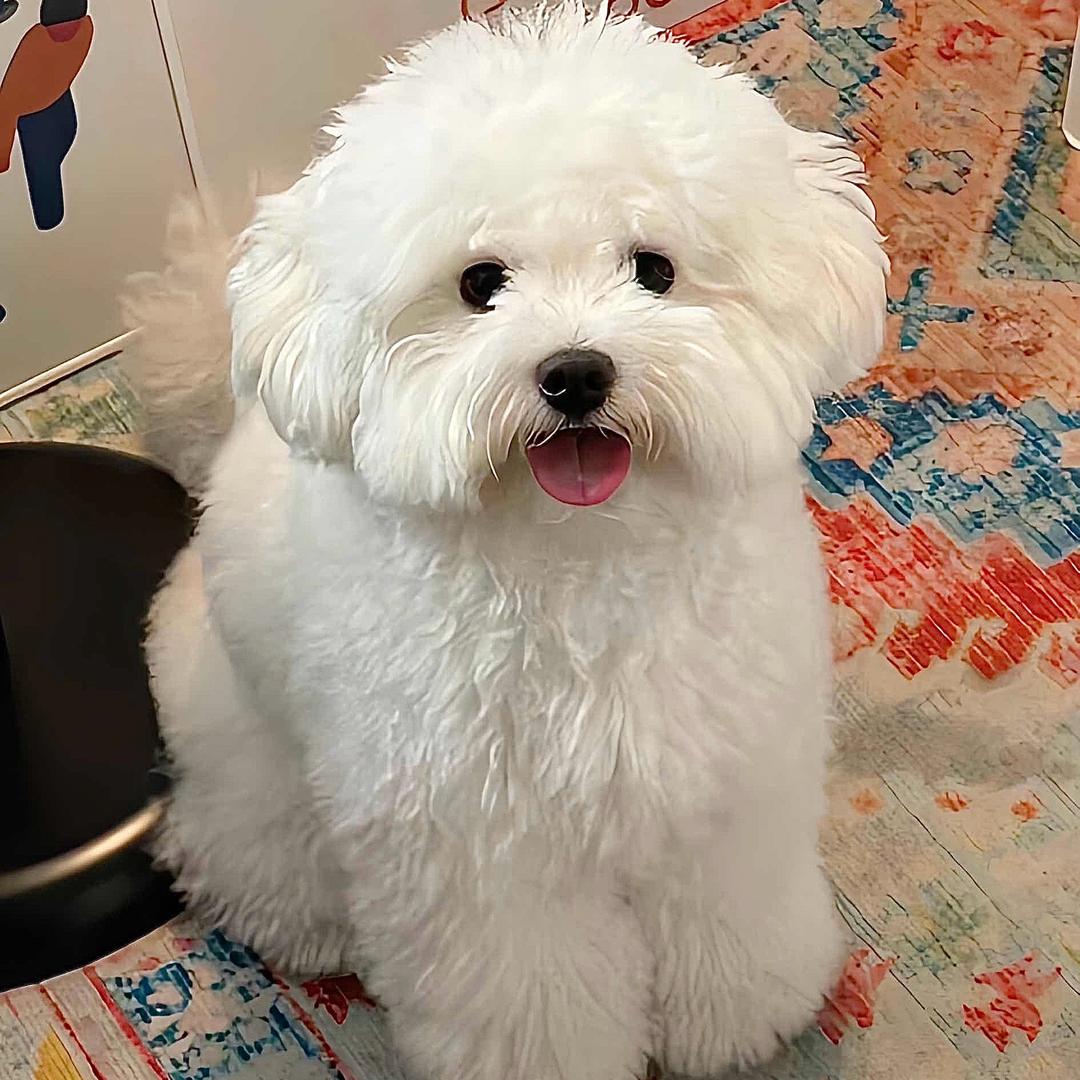 禾苗