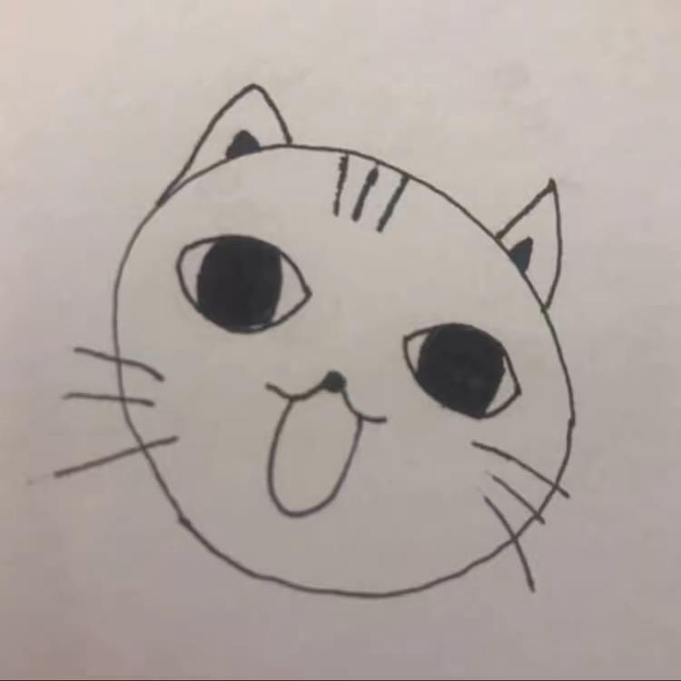 透山猫🐈