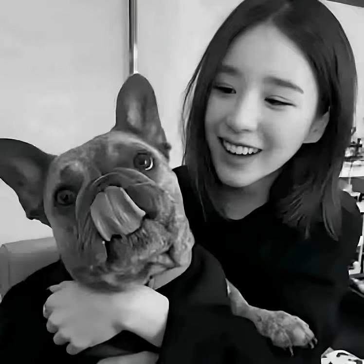 ㅤㅤㅤㅤㅤ￰ ￰ㅤㅤㅤ       ㅤㅤ