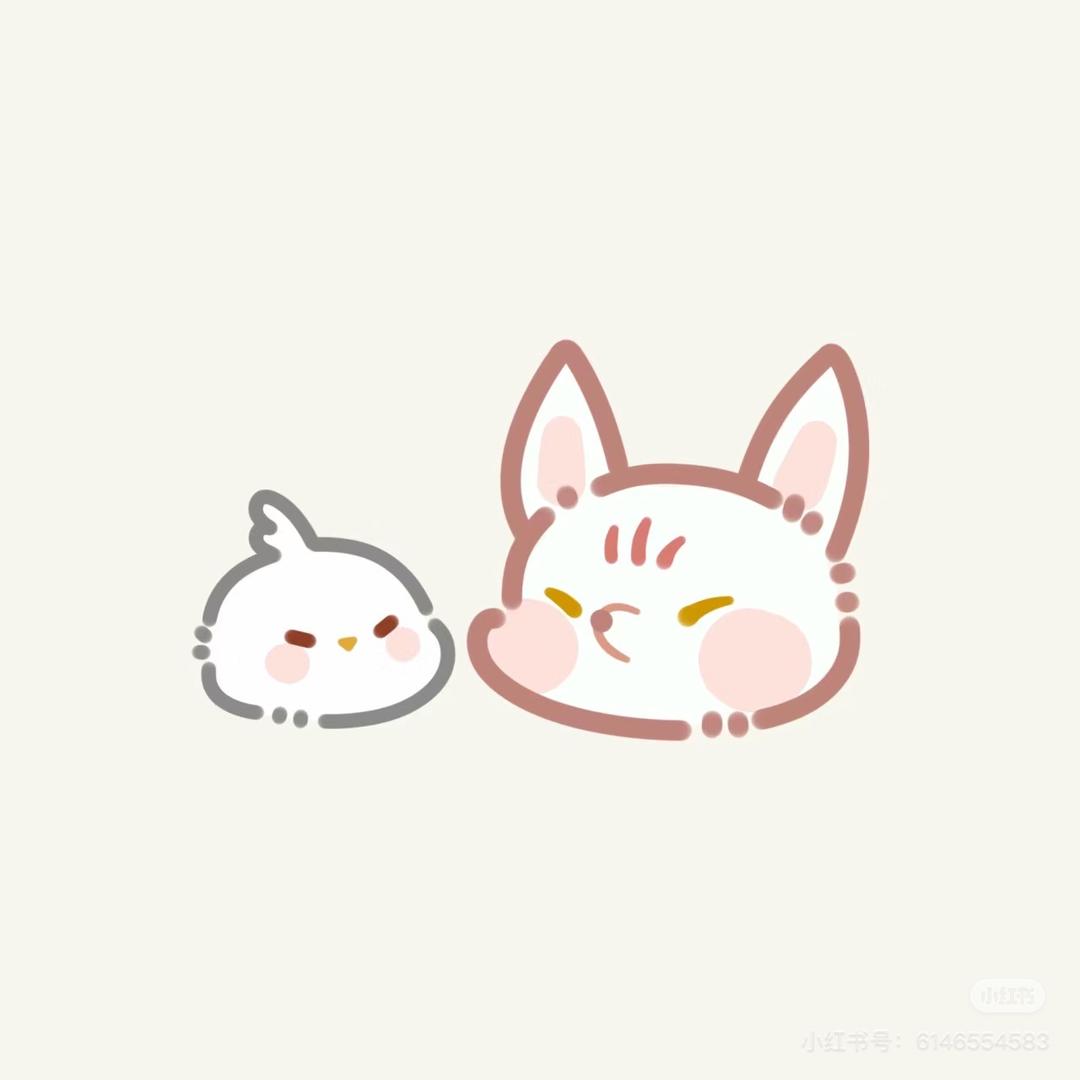 白菜菜猪