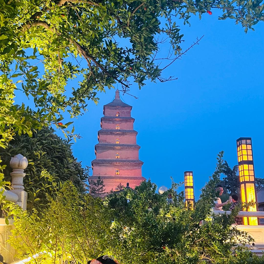李李🌟🌟