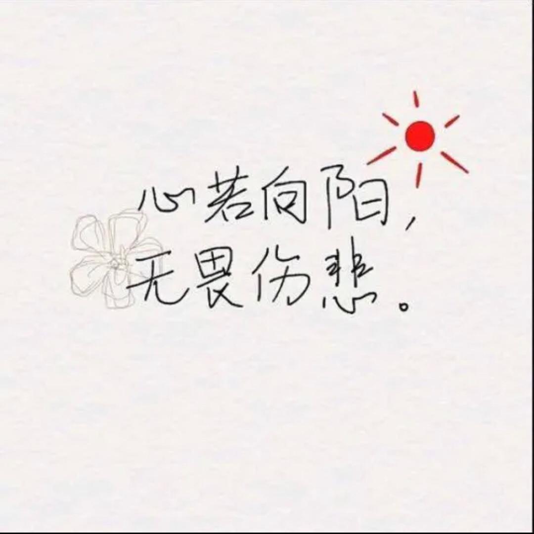 慕菲特宠物食品店