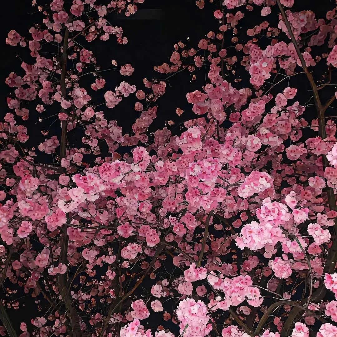 用户8657666669