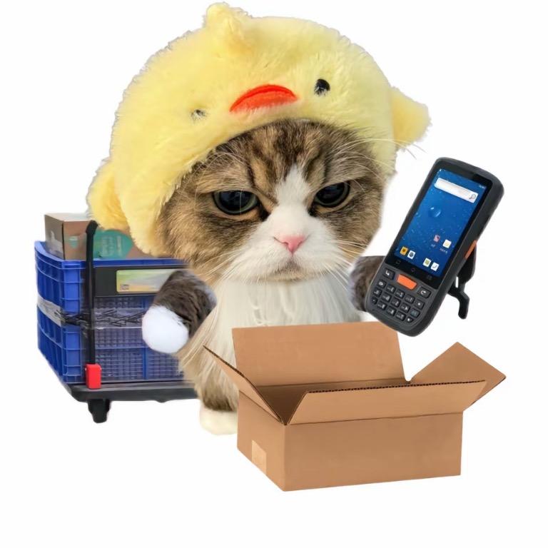 仓储物流项目（康锋超）