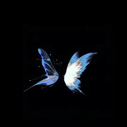 小迷糊糊🦋