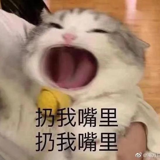 哇哈哈.