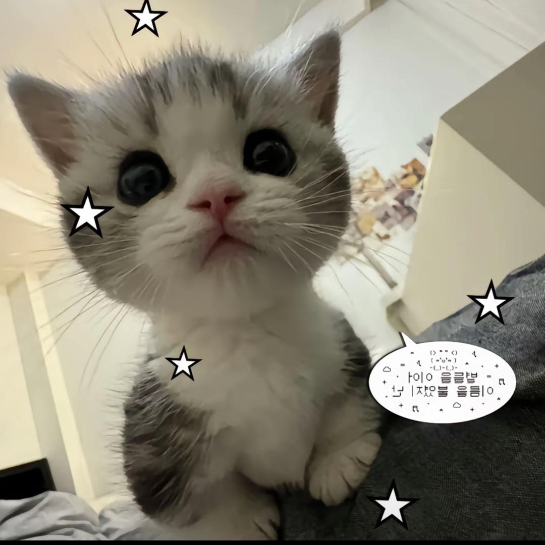 泪也模糊