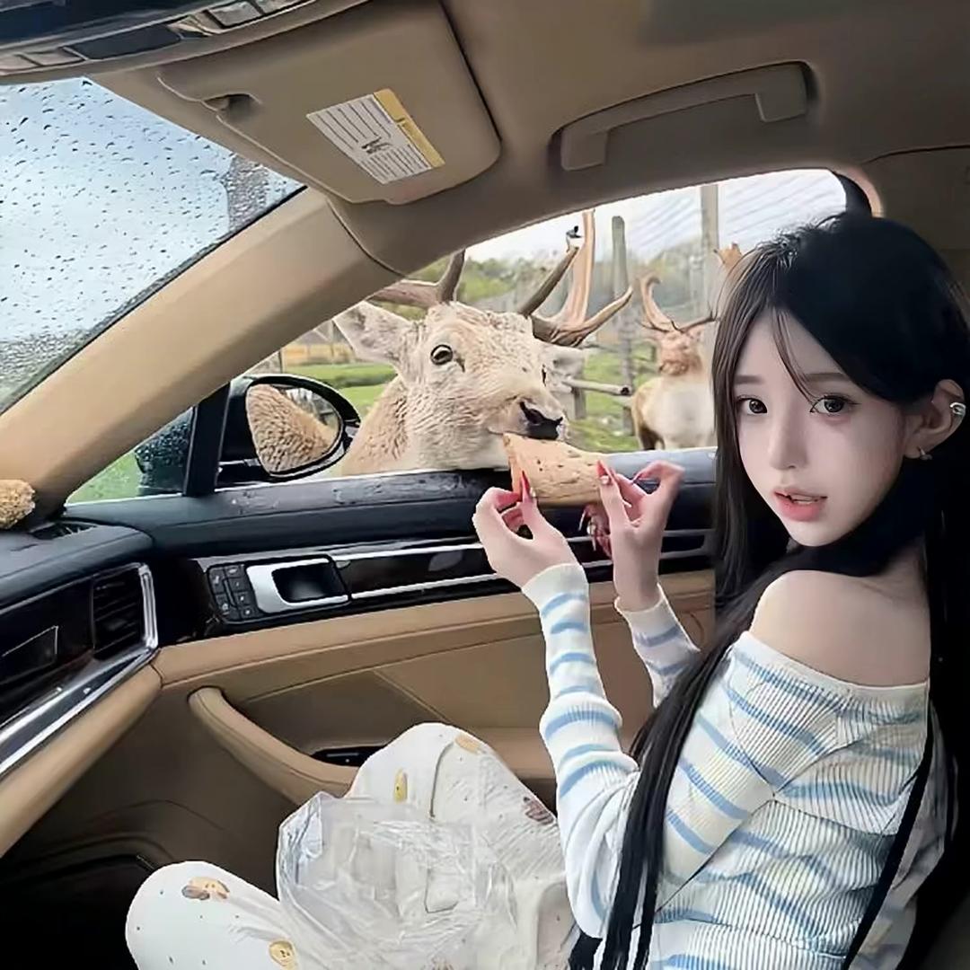 没钱没颜没时间