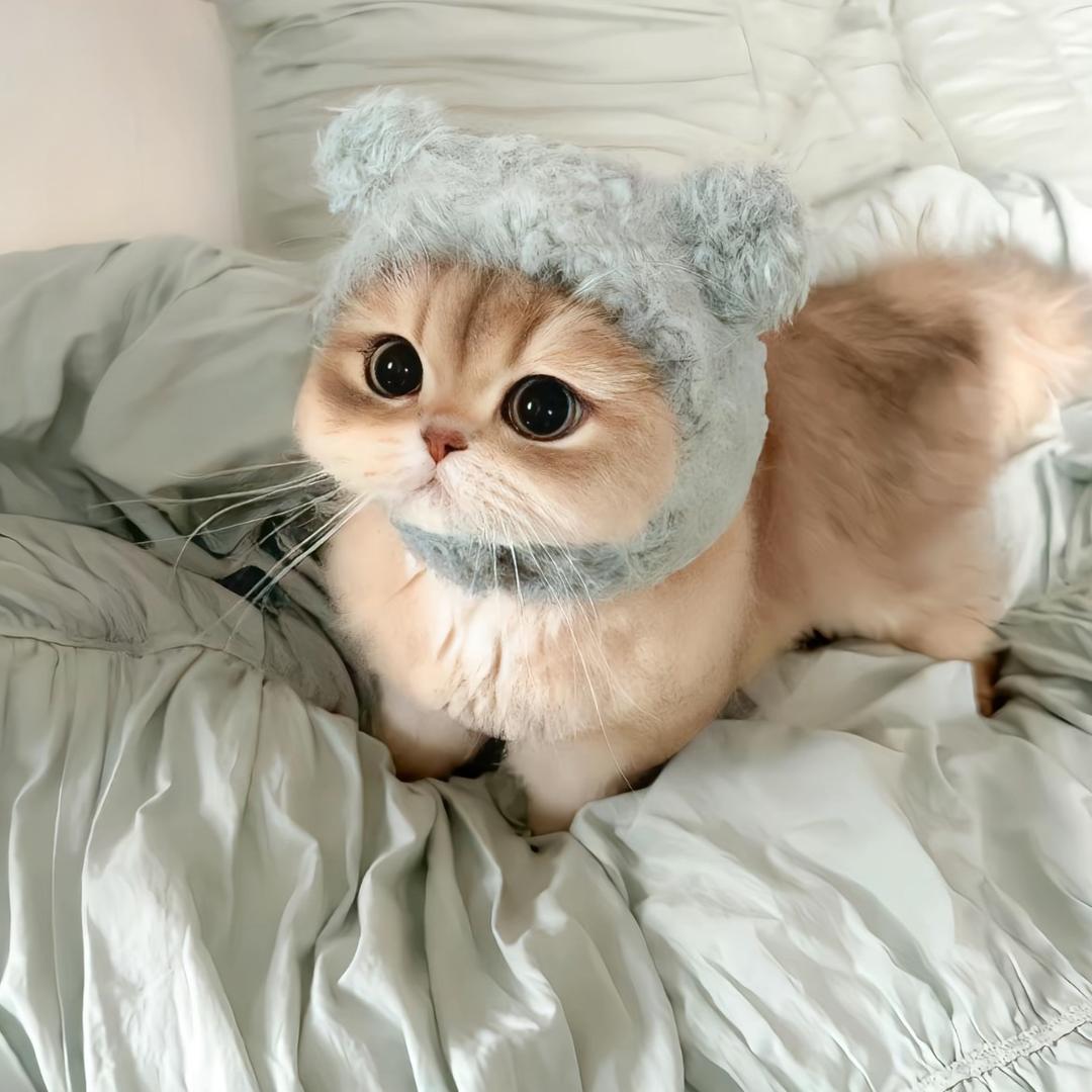 亭江月