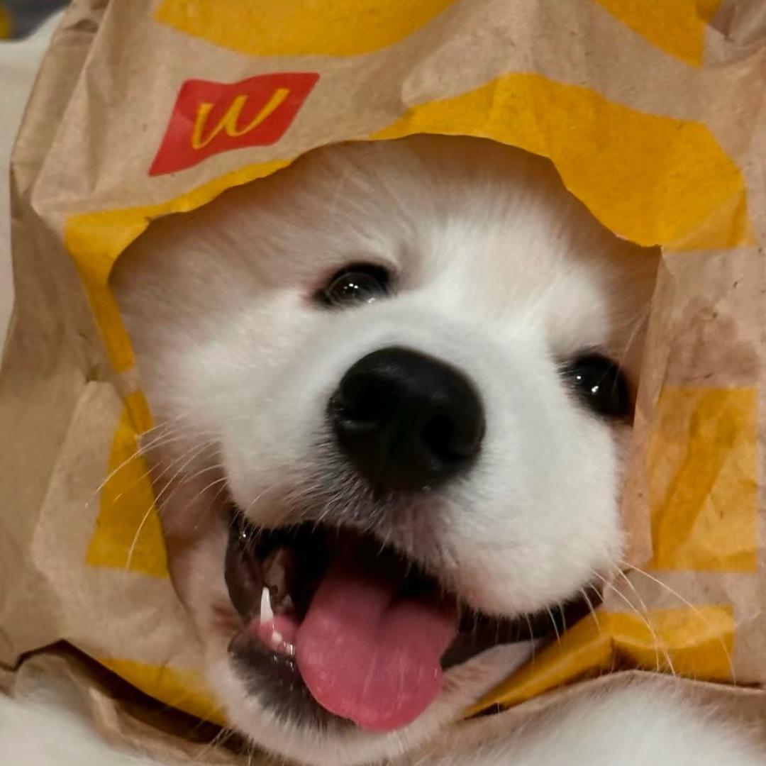 老睿睿睿睿睿睿.