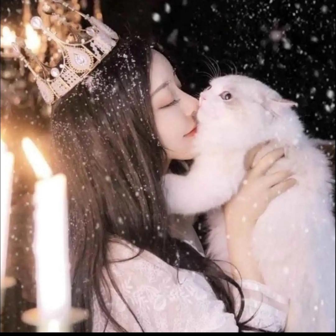 ✨曦🦋鸳✨🐈🦋