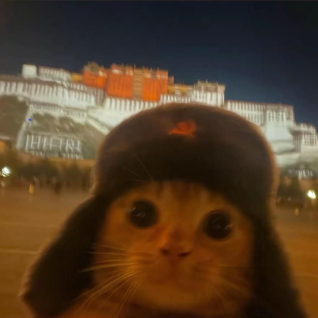 脚盘🐔