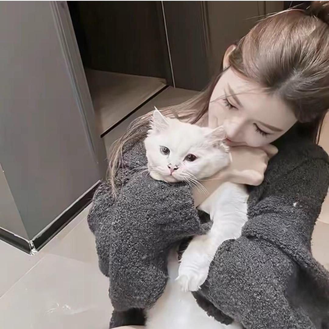 ㅤ  ㅤ  ㅤ︋ㅤ︋ㅤ︋