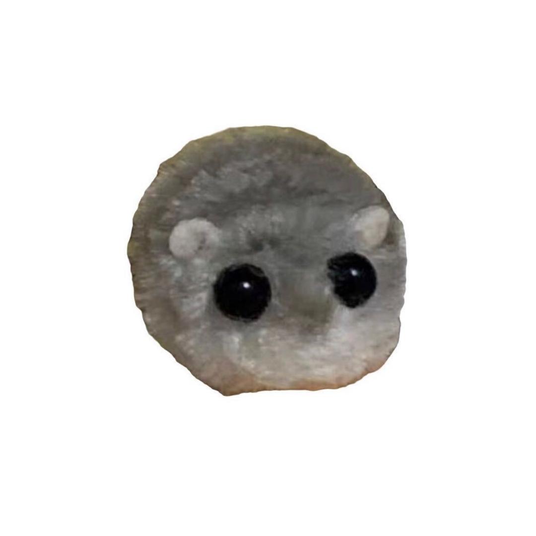 毛绒鼠🐭