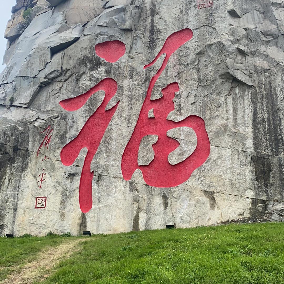 尚感恩荒山茶
