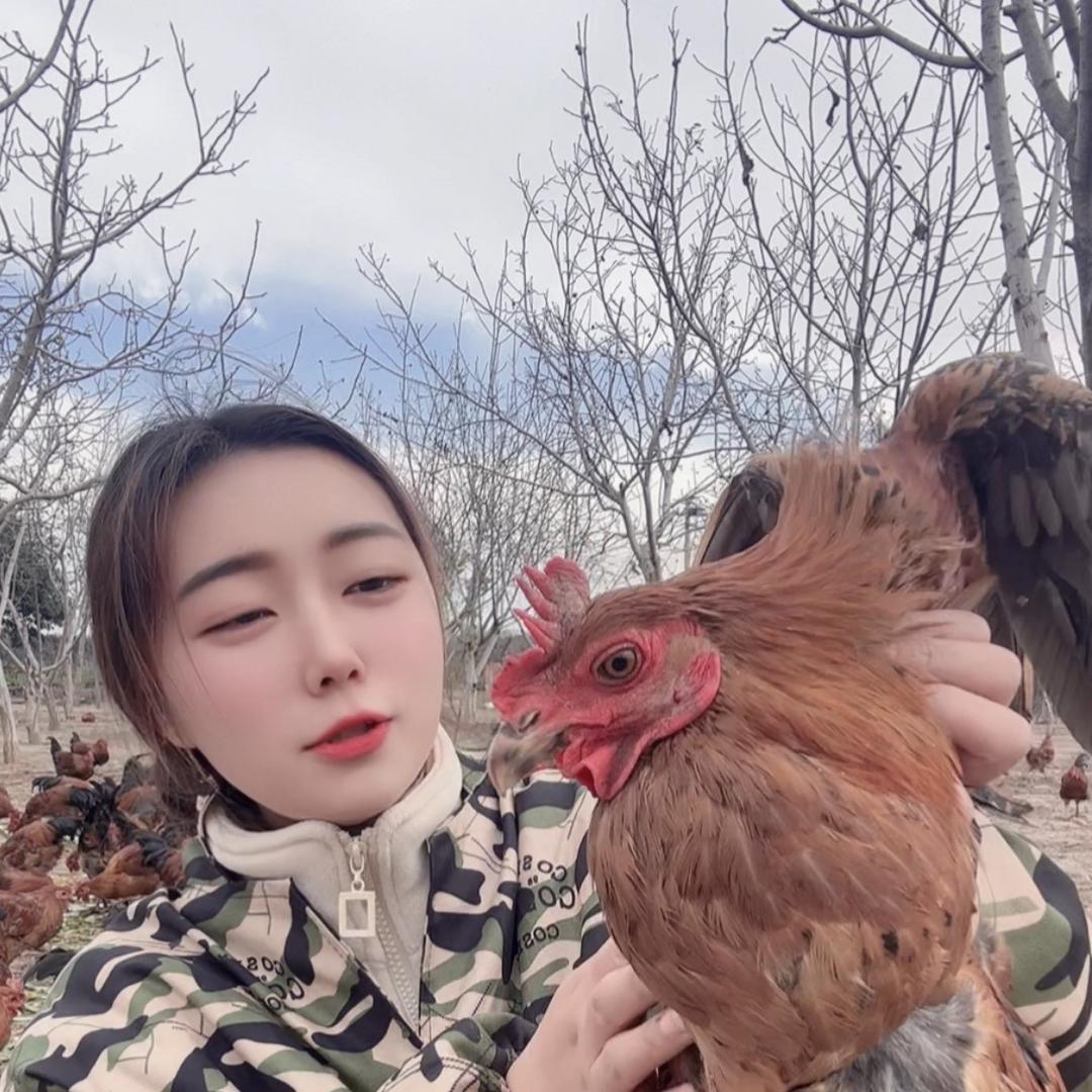 月月姐养殖