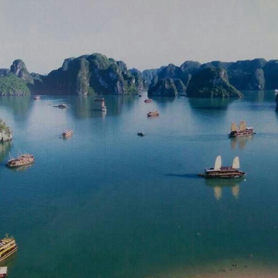 林小乐