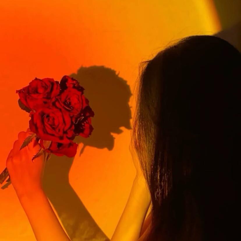 《佳运牛羊副商行》