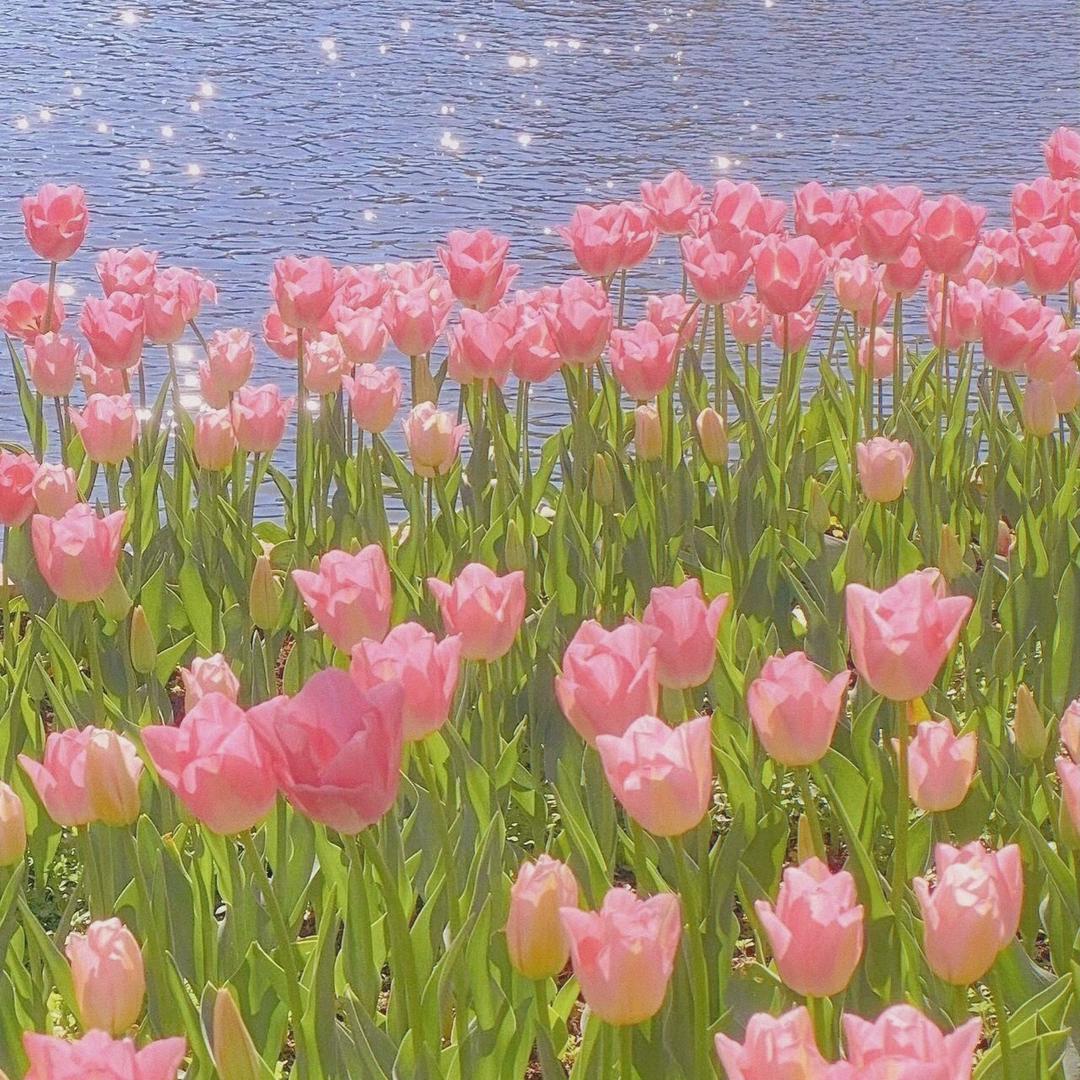 寒秋清