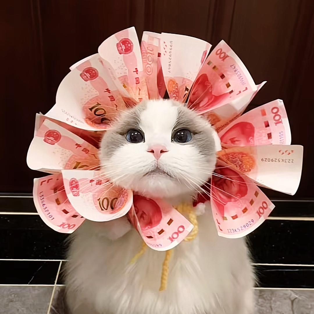 🍵李一亿～