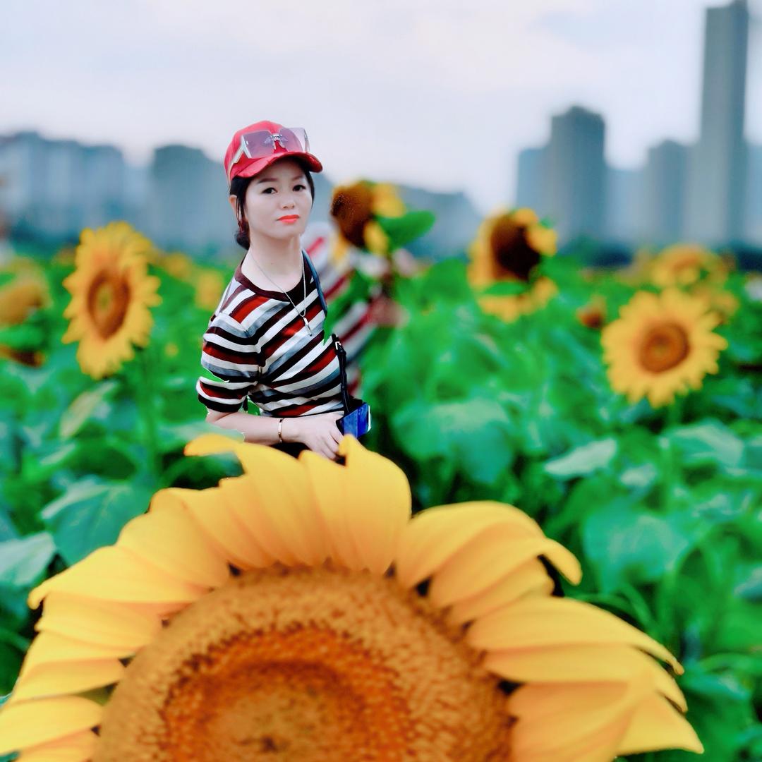 1647871435(虹依谷)