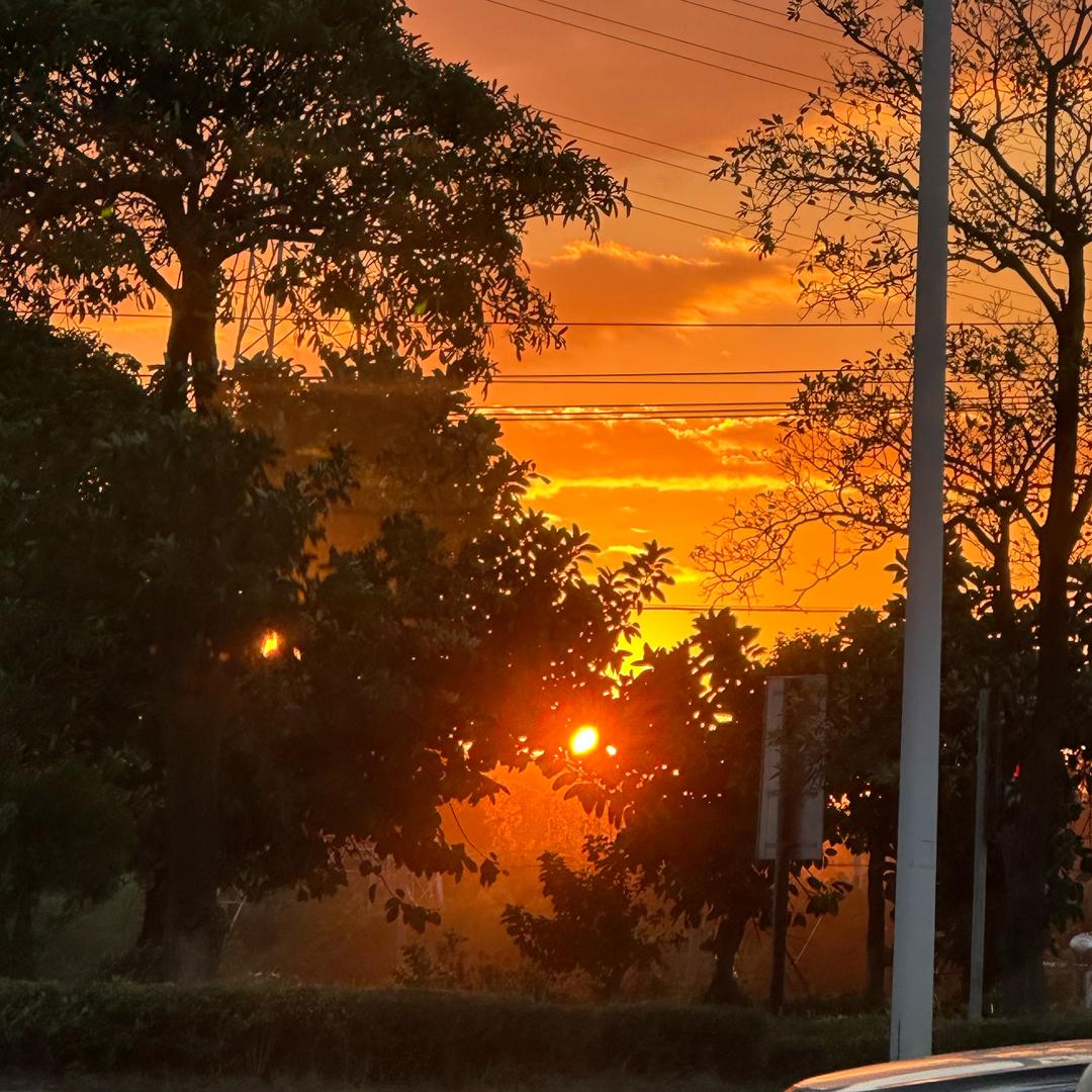 💕半生缘（不离不弃）