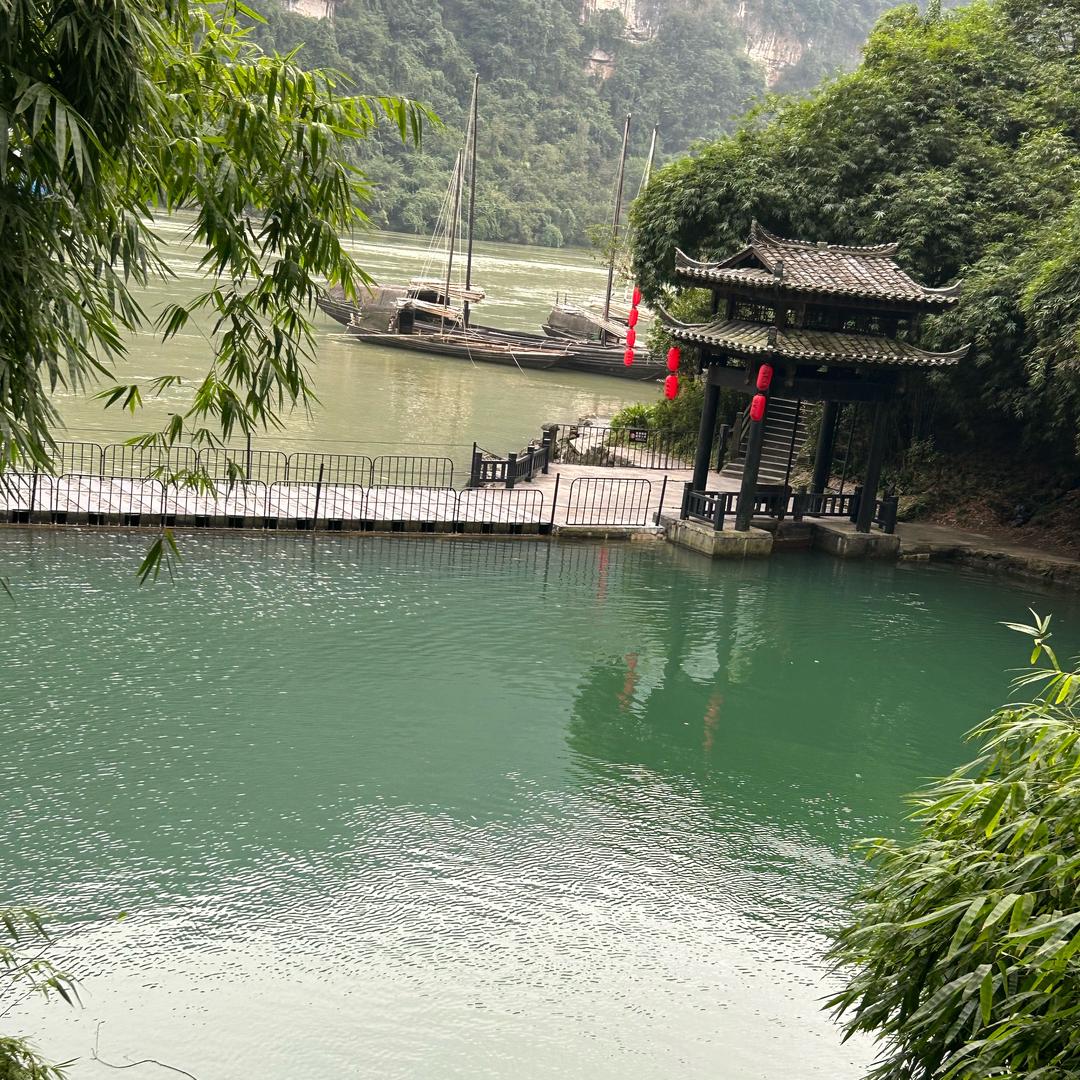 鑫旺源特种珍禽养殖基地