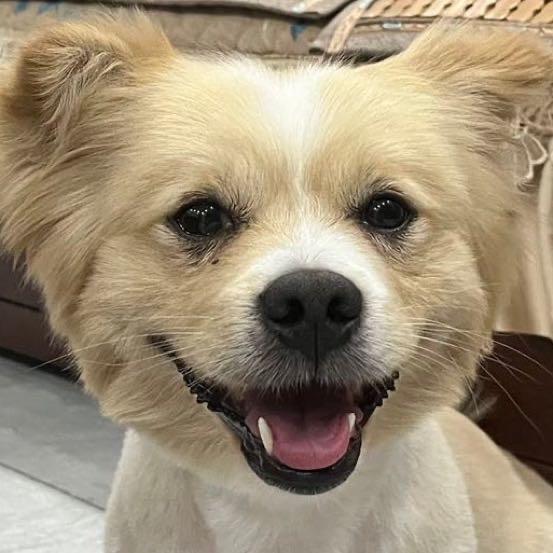 钰钰子和火锅子🐶