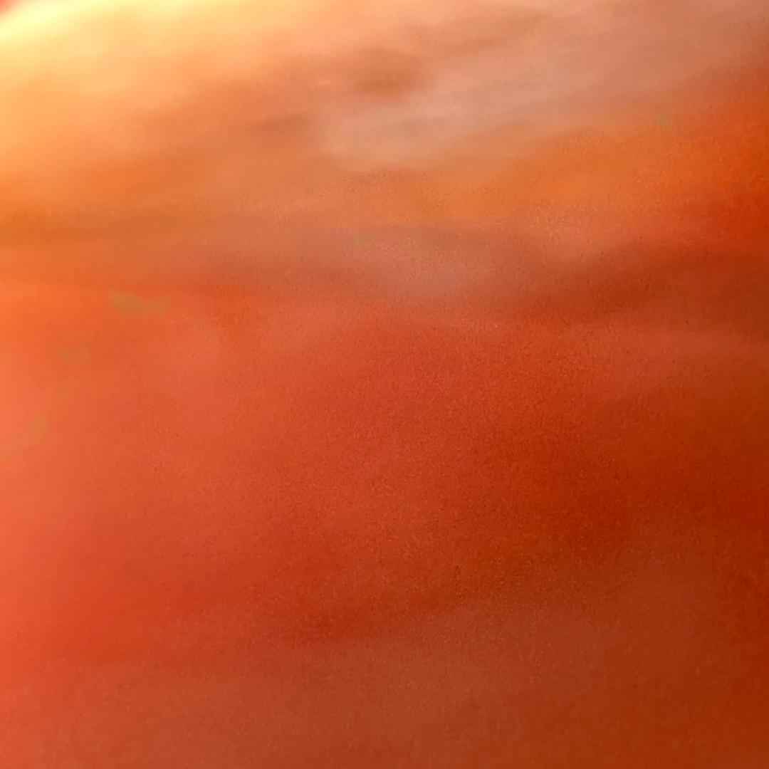 123698889999